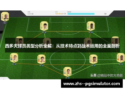 西多夫球员类型分析全解：从技术特点到战术运用的全面剖析