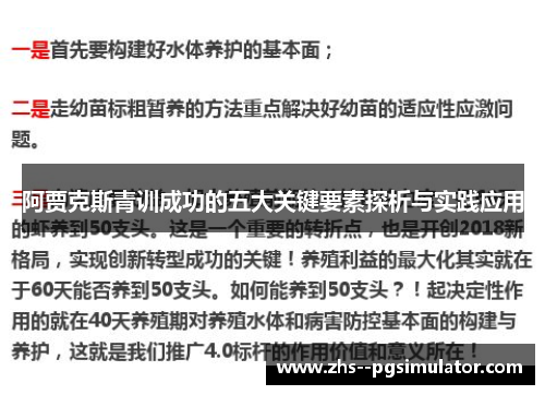 阿贾克斯青训成功的五大关键要素探析与实践应用